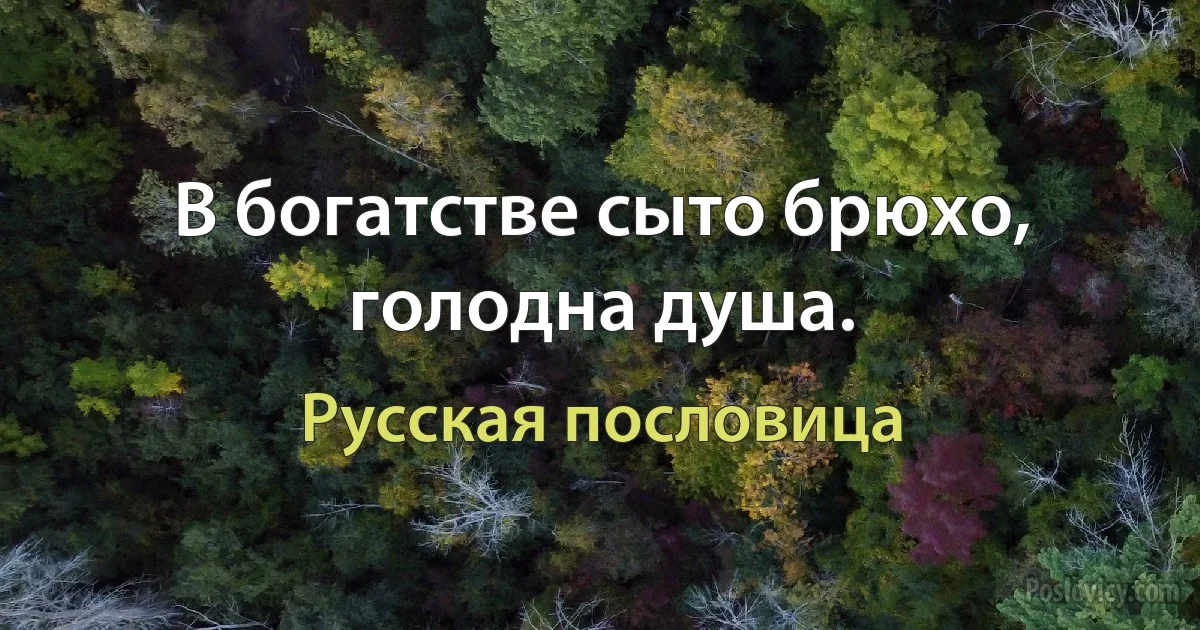 В богатстве сыто брюхо, голодна душа. (Русская пословица)