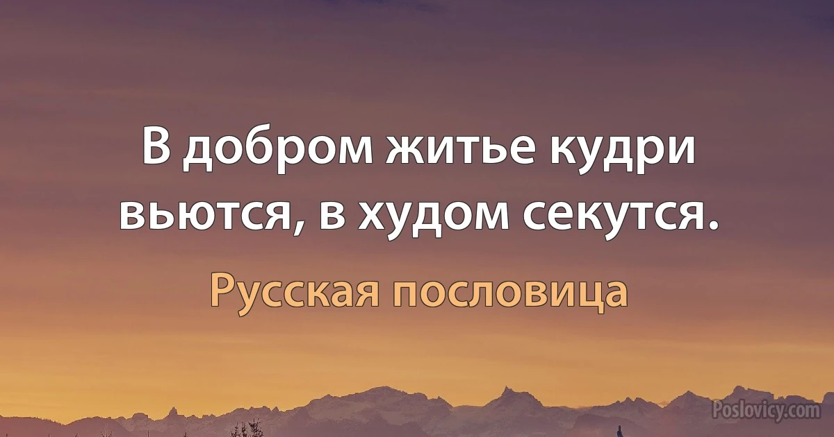 В добром житье кудри вьются, в худом секутся. (Русская пословица)