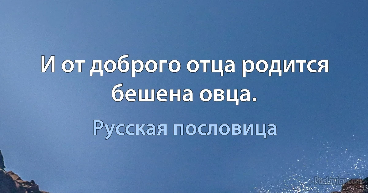 И от доброго отца родится бешена овца. (Русская пословица)