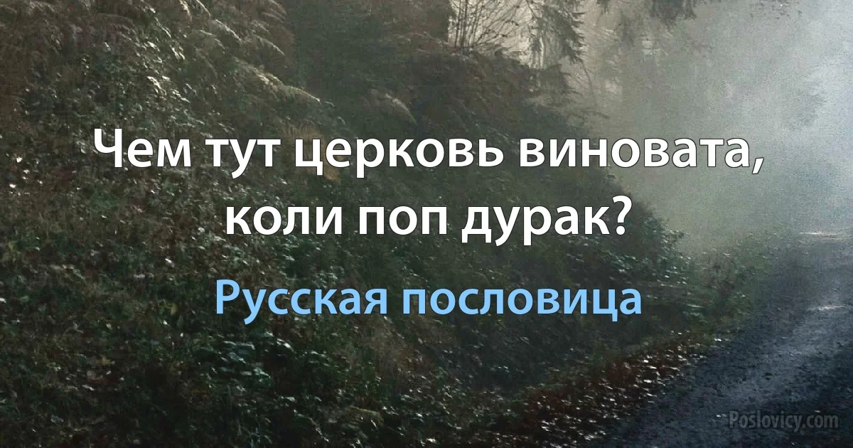 Чем тут церковь виновата, коли поп дурак? (Русская пословица)