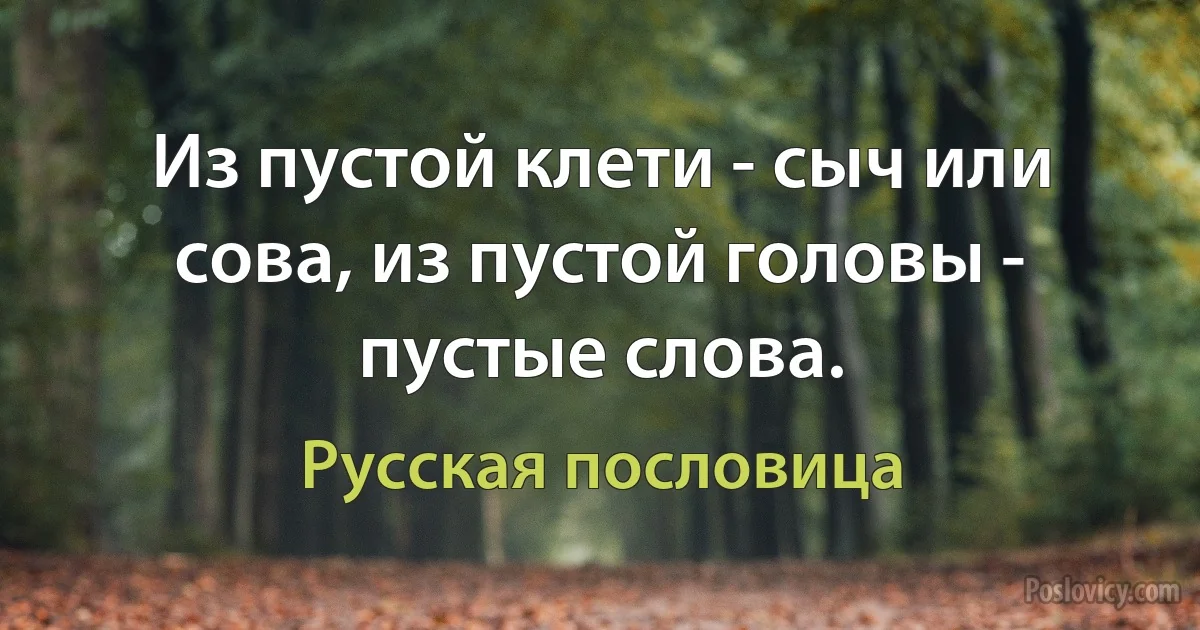 Из пустой клети - сыч или сова, из пустой головы - пустые слова. (Русская пословица)