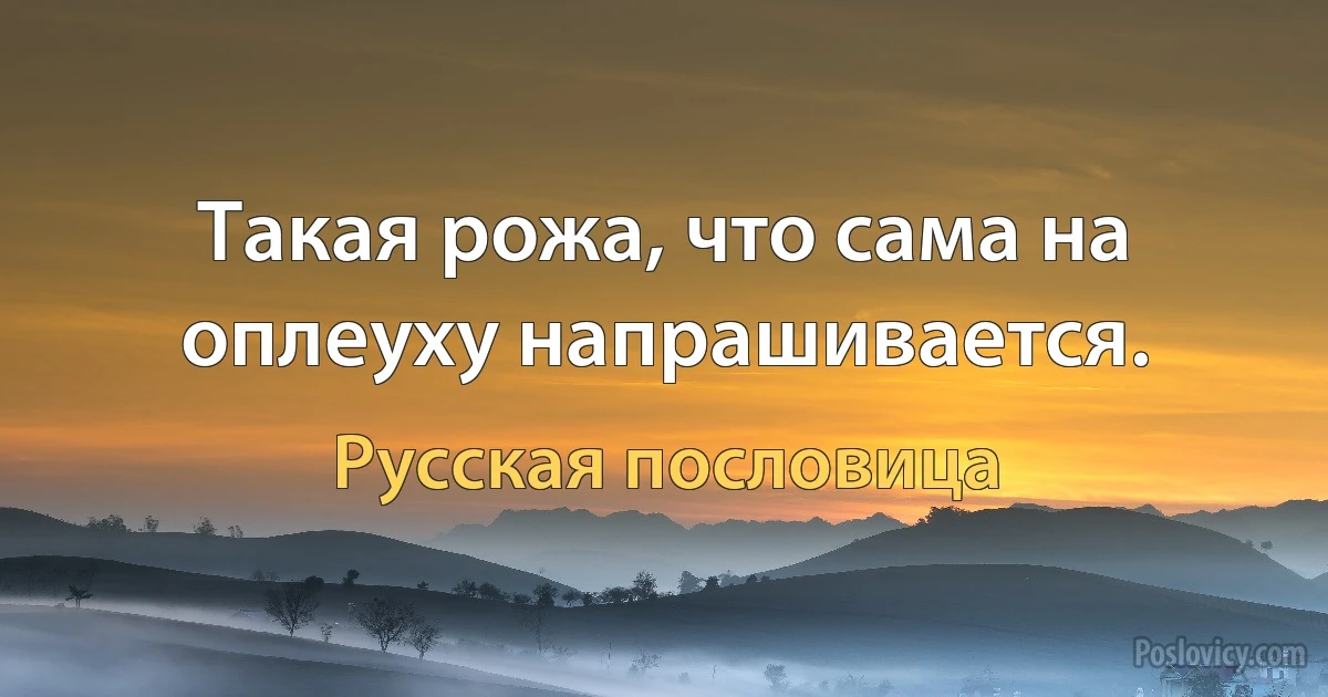 Такая рожа, что сама на оплеуху напрашивается. (Русская пословица)