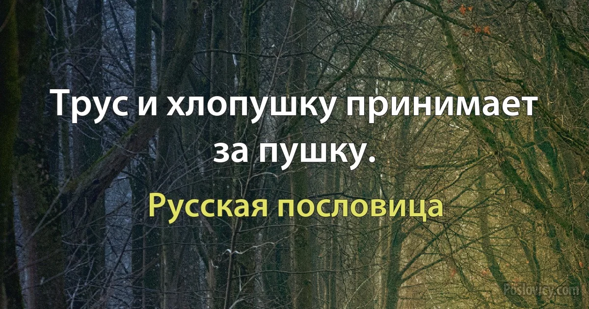 Трус и хлопушку принимает за пушку. (Русская пословица)