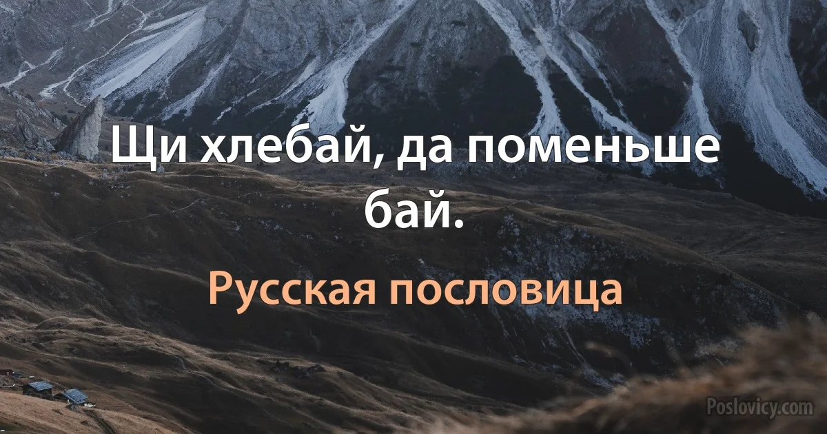 Щи хлебай, да поменьше бай. (Русская пословица)