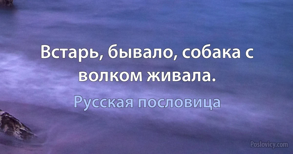 Встарь, бывало, собака с волком живала. (Русская пословица)