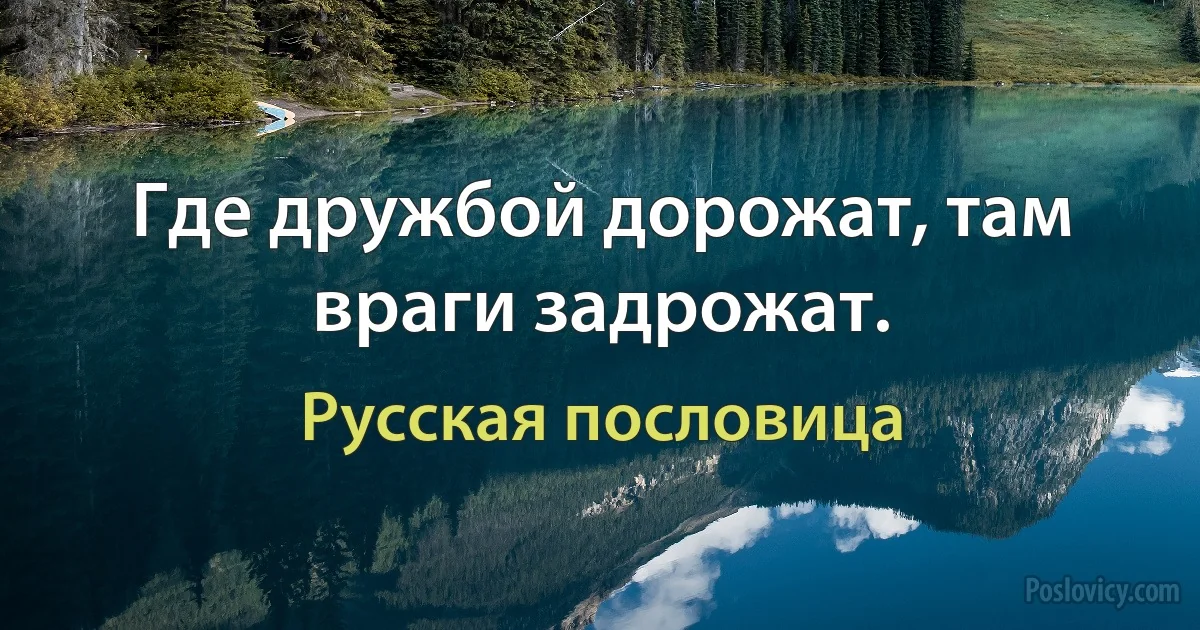 Где дружбой дорожат, там враги задрожат. (Русская пословица)