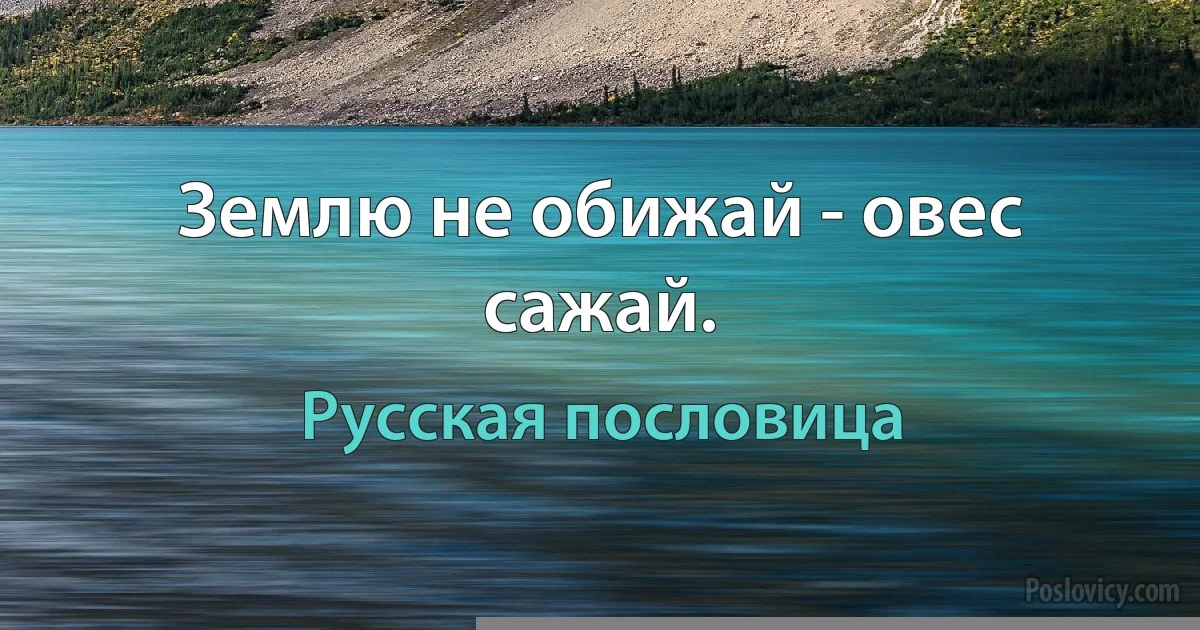 Землю не обижай - овес сажай. (Русская пословица)