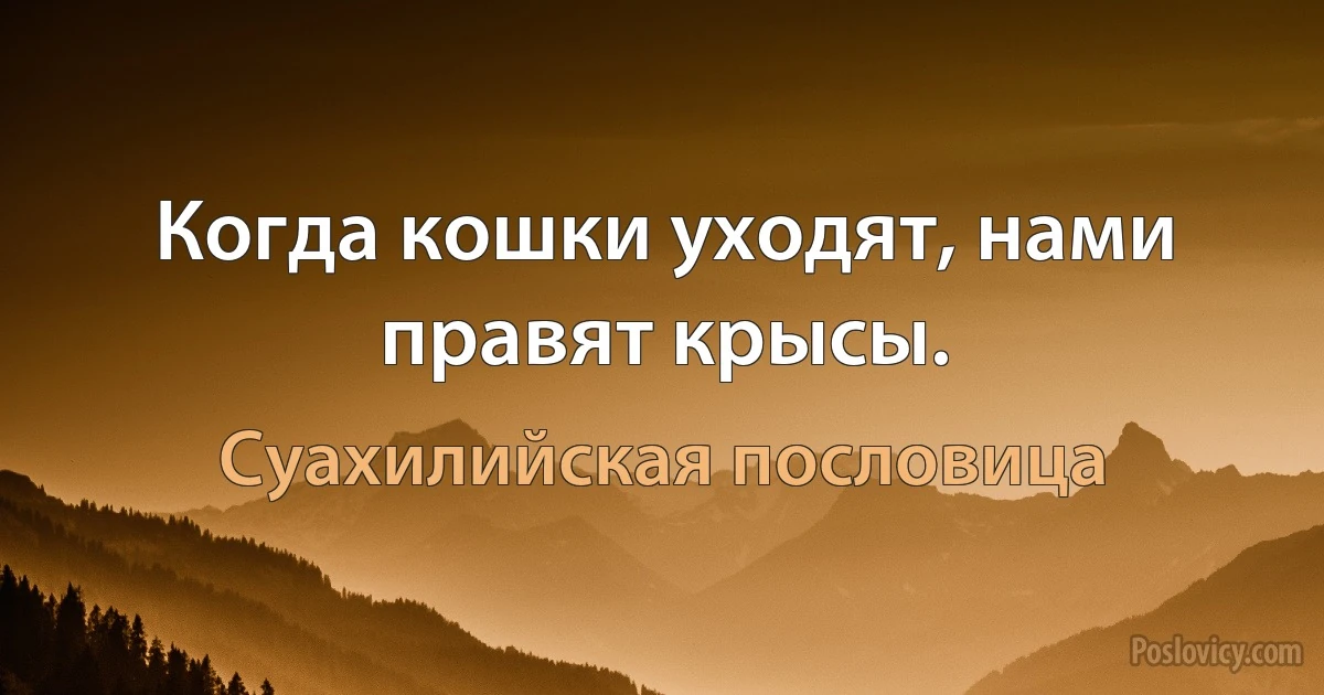 Когда кошки уходят, нами правят крысы. (Суахилийская пословица)