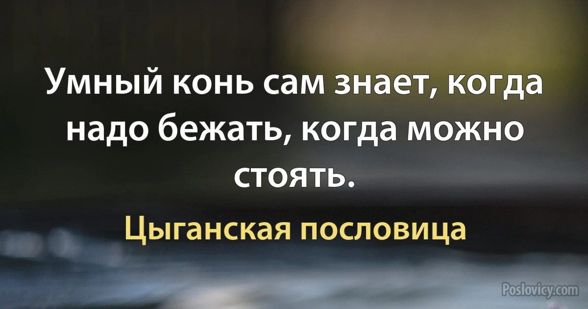 Умный конь сам знает, когда надо бежать, когда можно стоять. (Цыганская пословица)