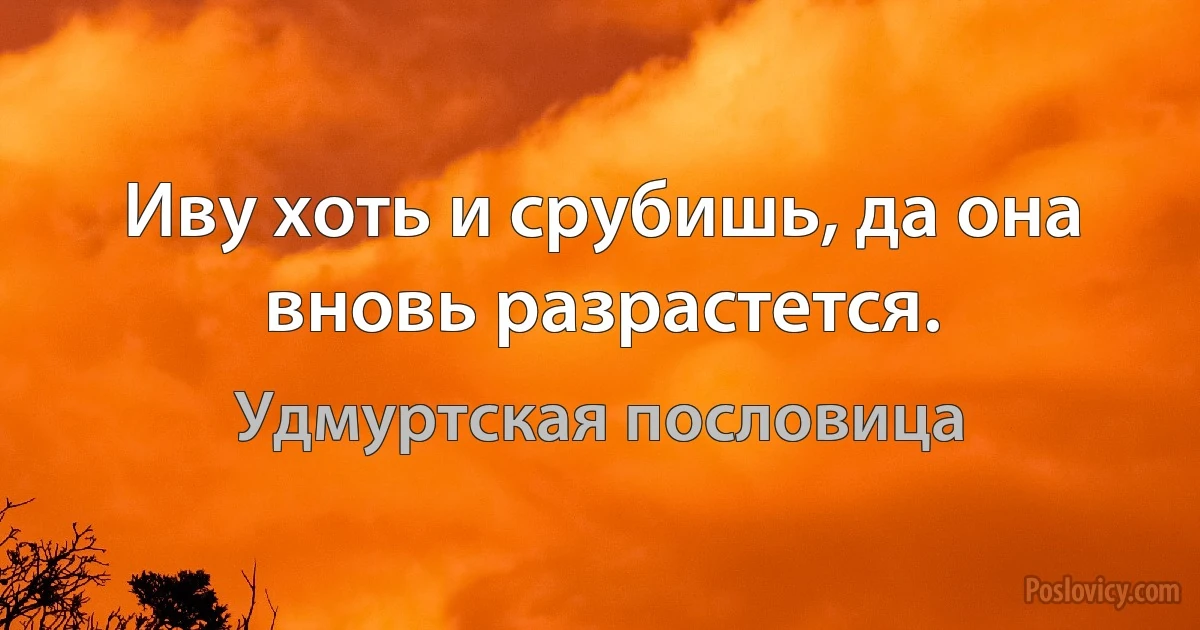 Иву хоть и срубишь, да она вновь разрастется. (Удмуртская пословица)