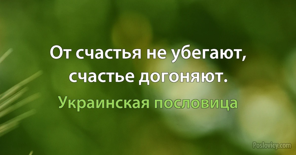 От счастья не убегают, счастье догоняют. (Украинская пословица)