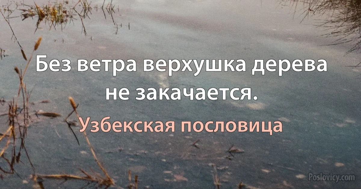 Без ветра верхушка дерева не закачается. (Узбекская пословица)