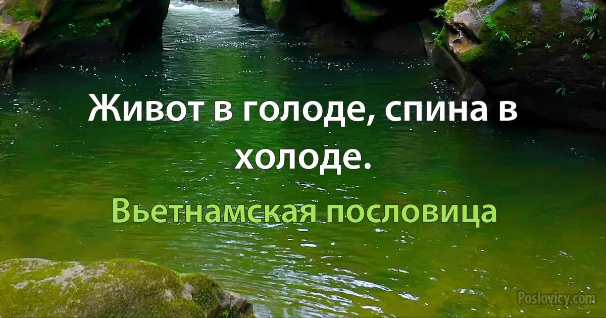 Живот в голоде, спина в холоде. (Вьетнамская пословица)