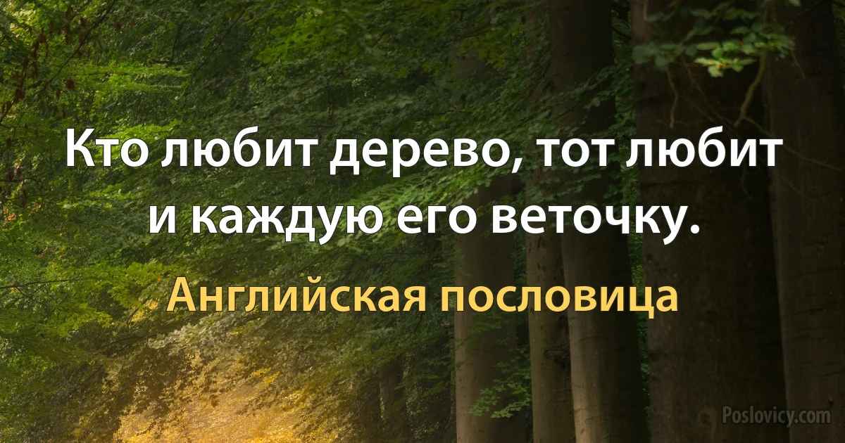 Кто любит дерево, тот любит и каждую его веточку. (Английская пословица)