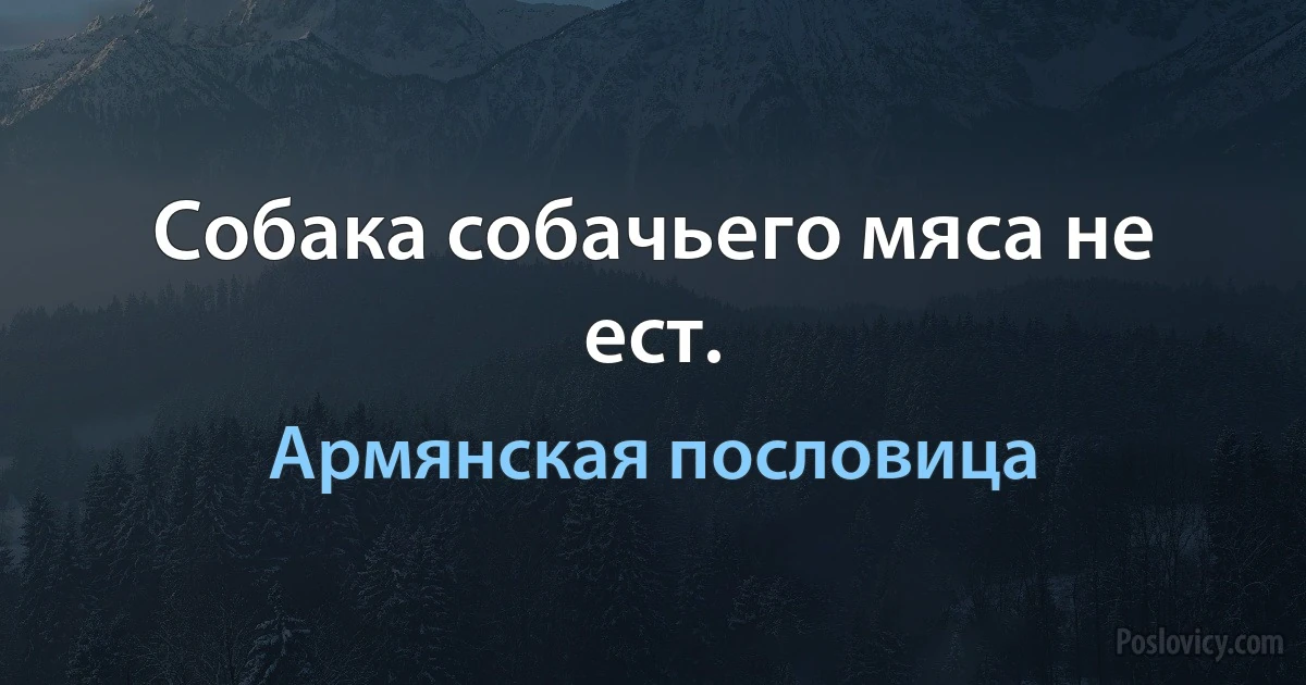 Собака собачьего мяса не ест. (Армянская пословица)