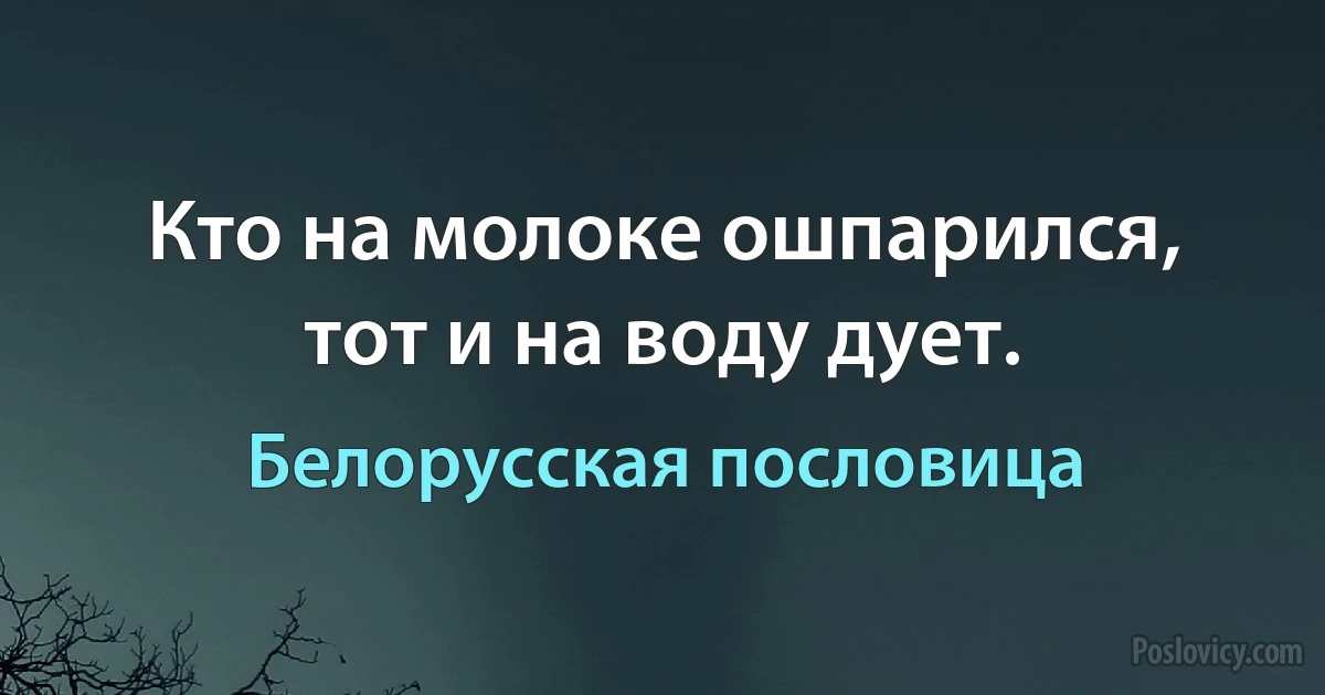 Кто на молоке ошпарился, тот и на воду дует. (Белорусская пословица)