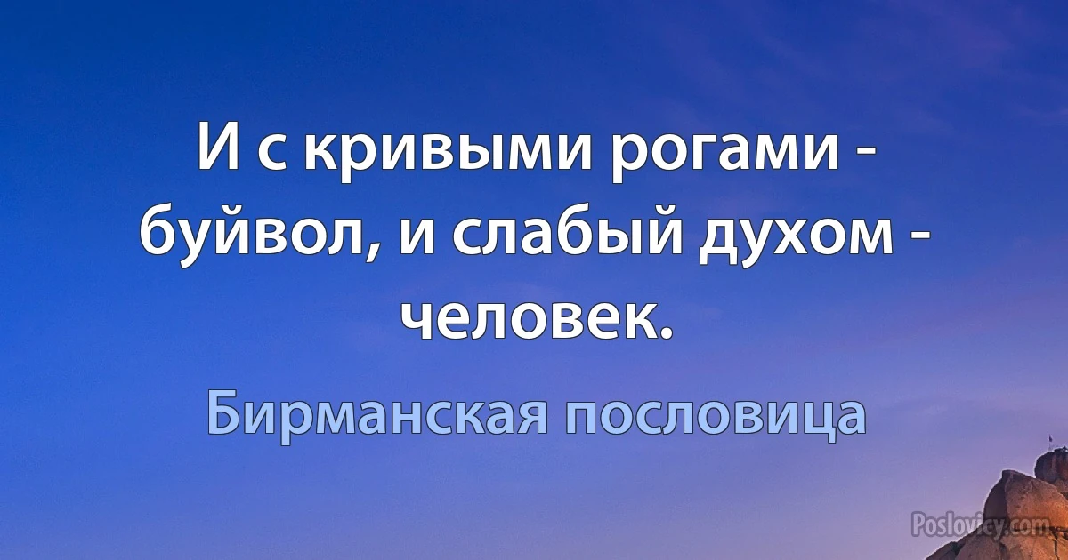 И с кривыми рогами - буйвол, и слабый духом - человек. (Бирманская пословица)