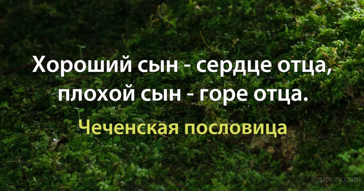 Хороший сын - сердце отца, плохой сын - горе отца. (Чеченская пословица)