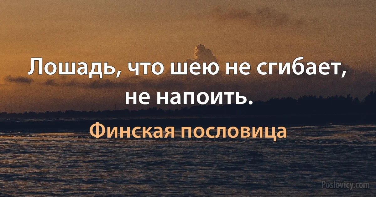 Лошадь, что шею не сгибает, не напоить. (Финская пословица)