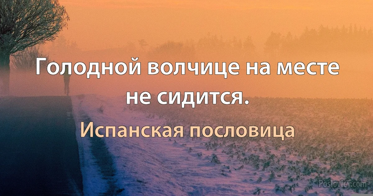 Голодной волчице на месте не сидится. (Испанская пословица)