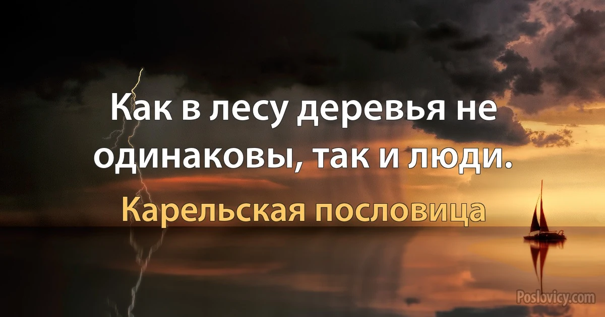 Как в лесу деревья не одинаковы, так и люди. (Карельская пословица)