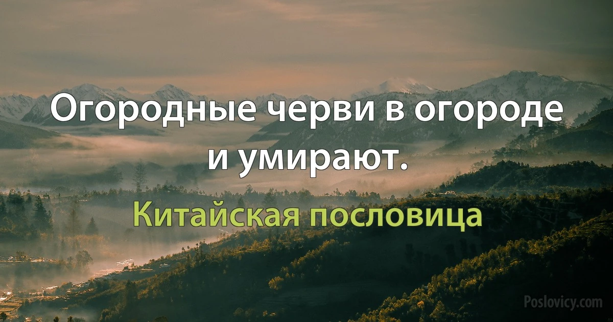 Огородные черви в огороде и умирают. (Китайская пословица)