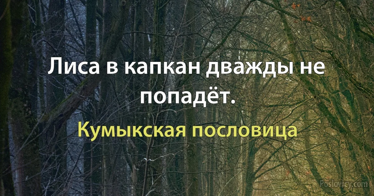 Лиса в капкан дважды не попадёт. (Кумыкская пословица)