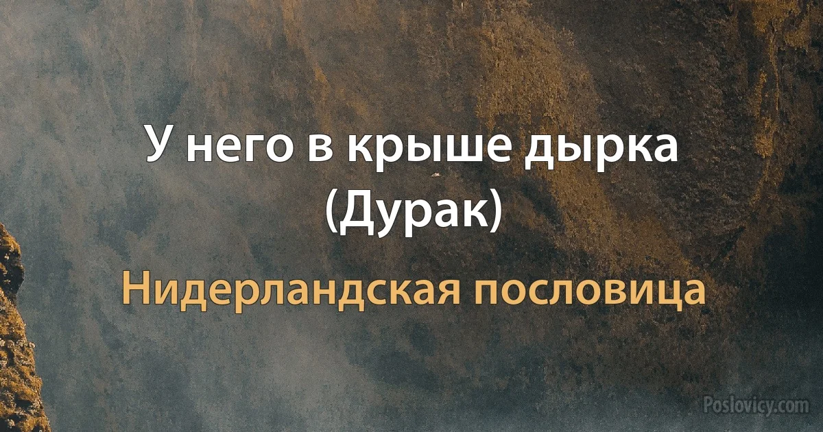 У него в крыше дырка (Дурак) (Нидерландская пословица)