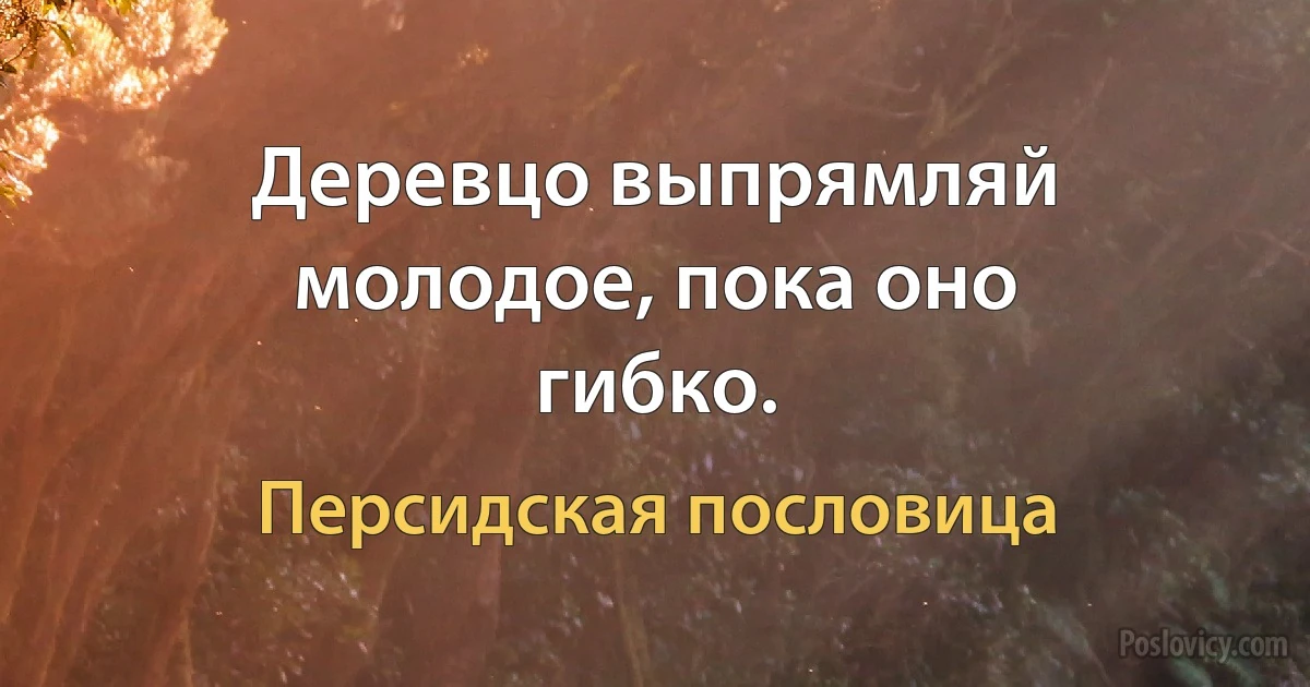 Деревцо выпрямляй молодое, пока оно гибко. (Персидская пословица)