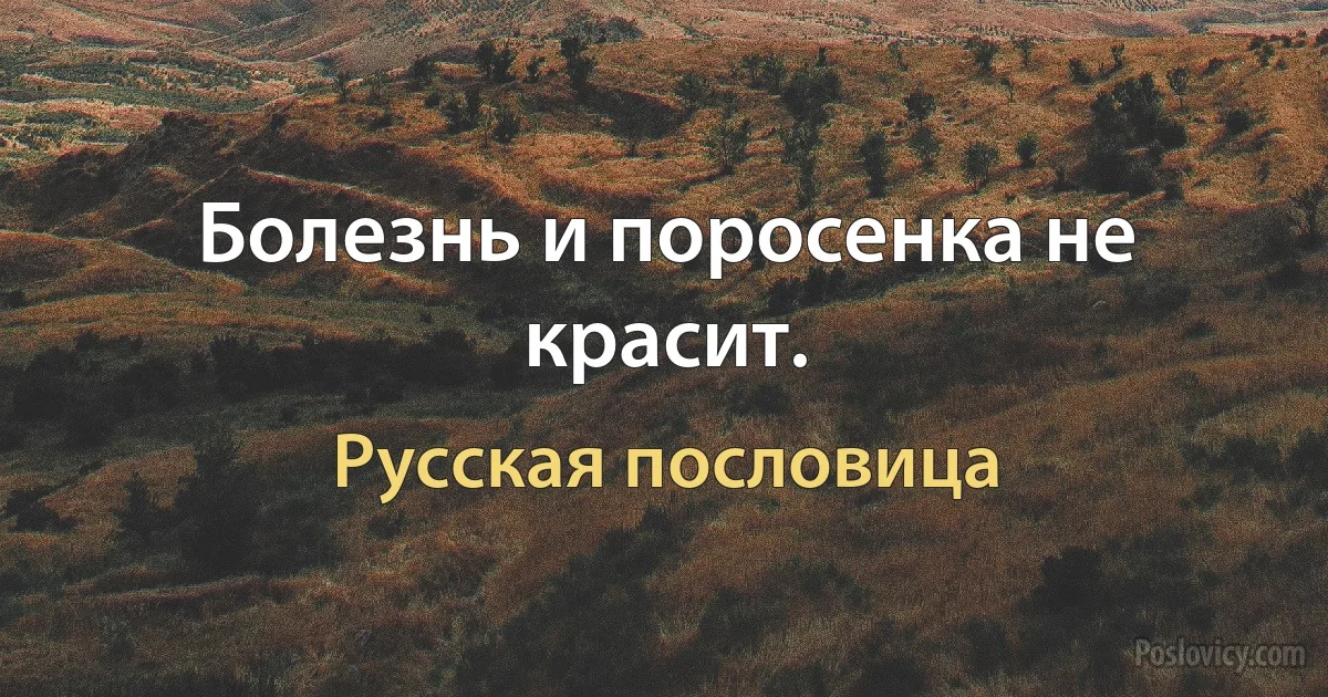 Болезнь и поросенка не красит. (Русская пословица)