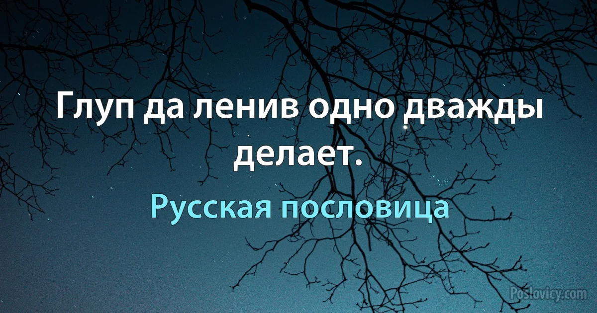 Глуп да ленив одно дважды делает. (Русская пословица)