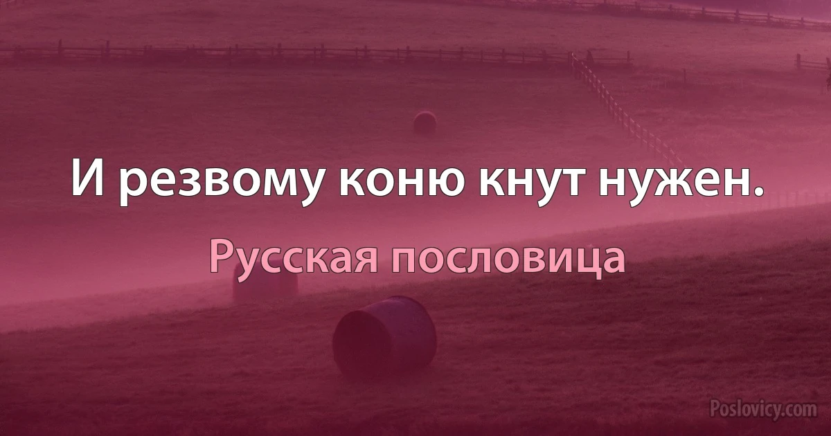 И резвому коню кнут нужен. (Русская пословица)