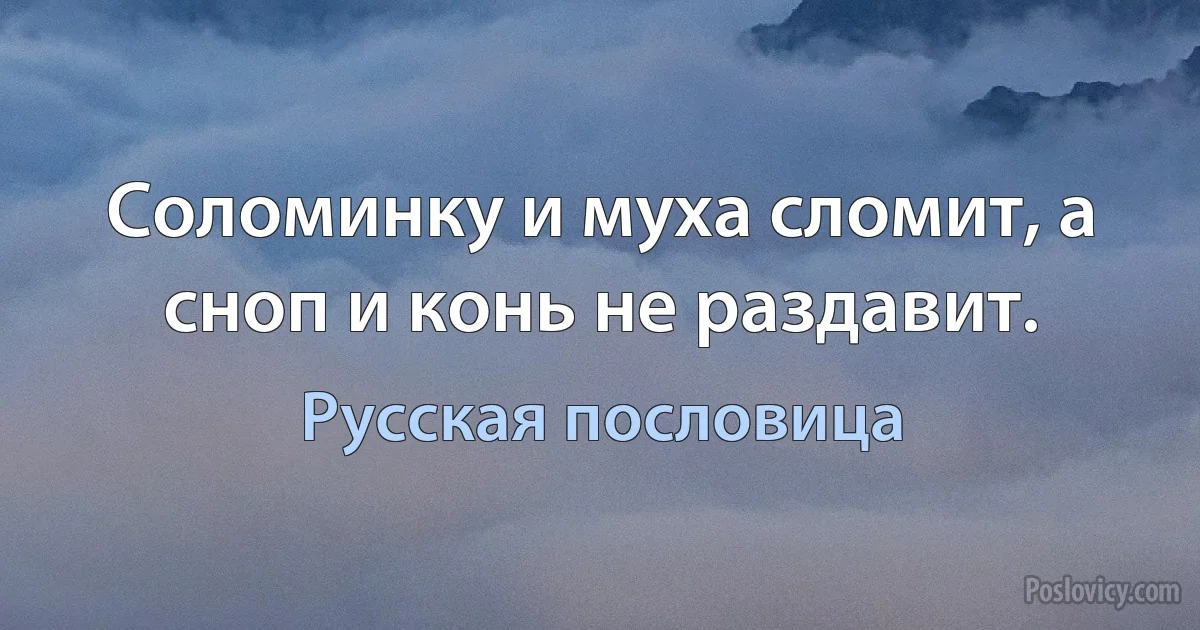 Соломинку и муха сломит, а сноп и конь не раздавит. (Русская пословица)