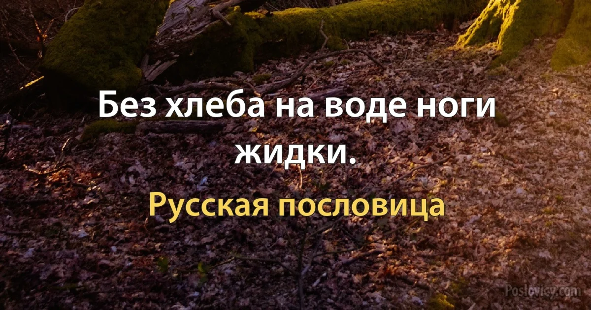 Без хлеба на воде ноги жидки. (Русская пословица)