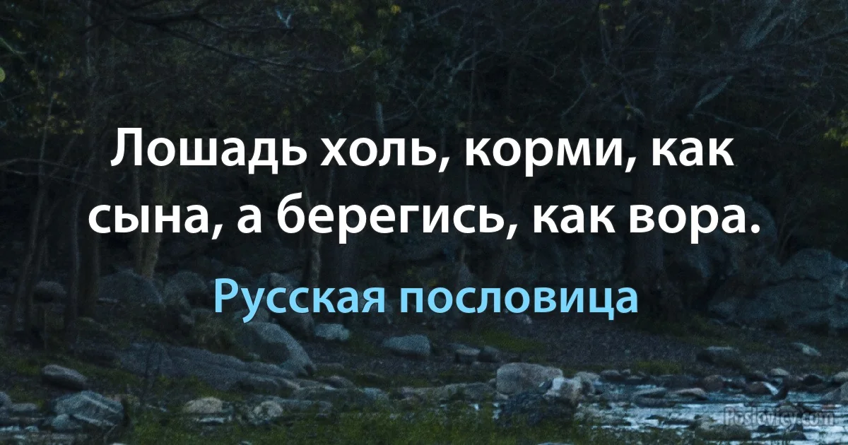 Лошадь холь, корми, как сына, а берегись, как вора. (Русская пословица)