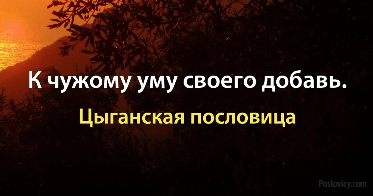 К чужому уму своего добавь. (Цыганская пословица)