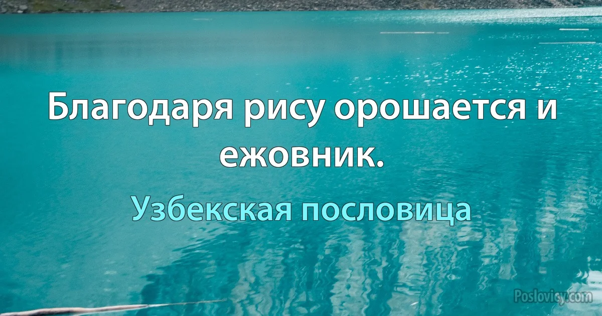 Благодаря рису орошается и ежовник. (Узбекская пословица)