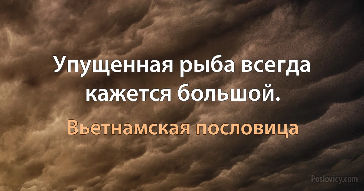 Упущенная рыба всегда кажется большой. (Вьетнамская пословица)