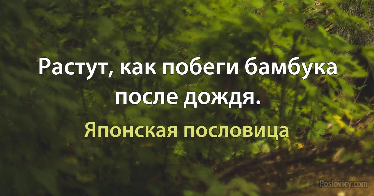 Растут, как побеги бамбука после дождя. (Японская пословица)