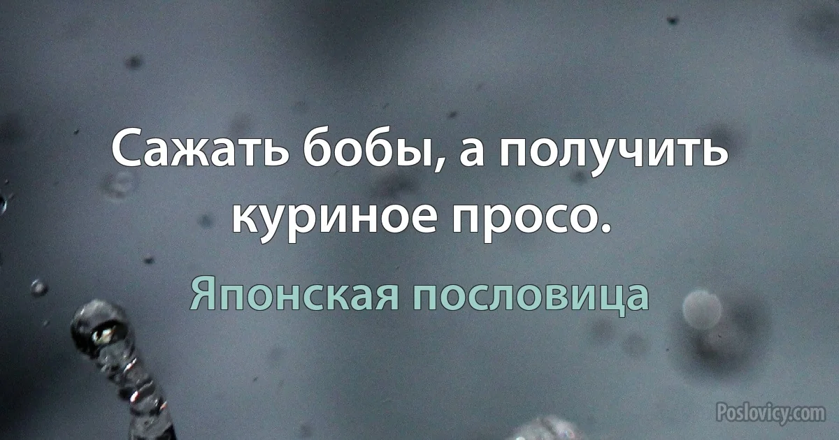 Сажать бобы, а получить куриное просо. (Японская пословица)