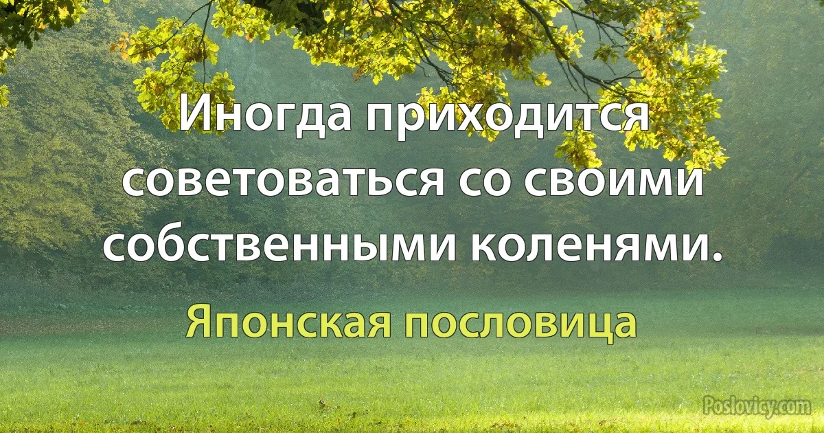 Иногда приходится советоваться со своими собственными коленями. (Японская пословица)