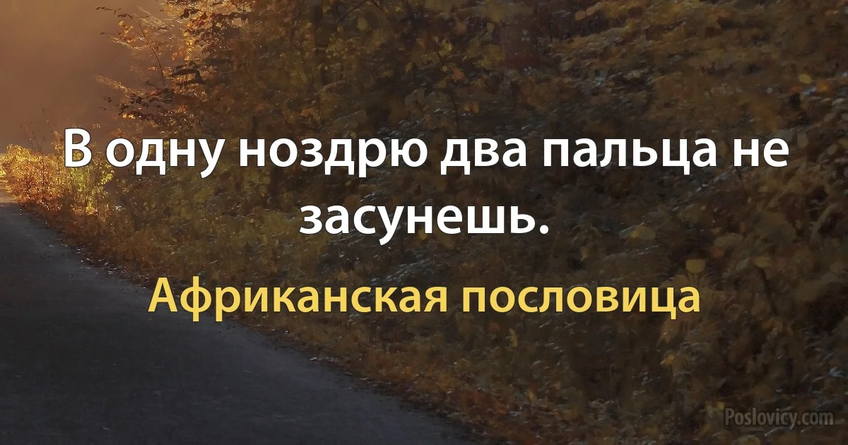 В одну ноздрю два пальца не засунешь. (Африканская пословица)