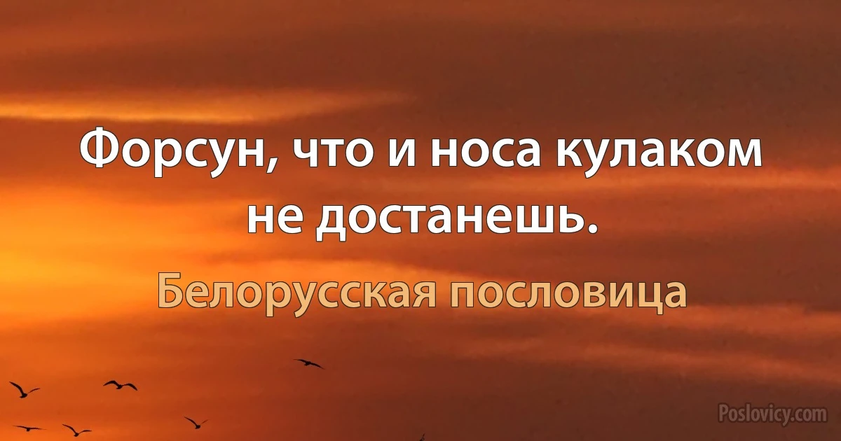 Форсун, что и носа кулаком не достанешь. (Белорусская пословица)