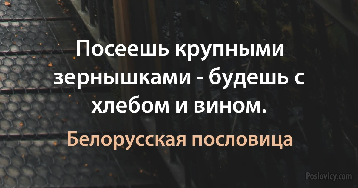 Посеешь крупными зернышками - будешь с хлебом и вином. (Белорусская пословица)