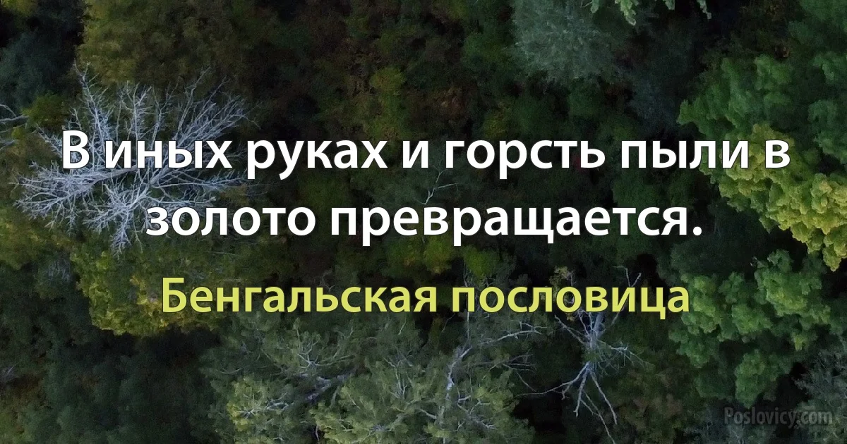 В иных руках и горсть пыли в золото превращается. (Бенгальская пословица)