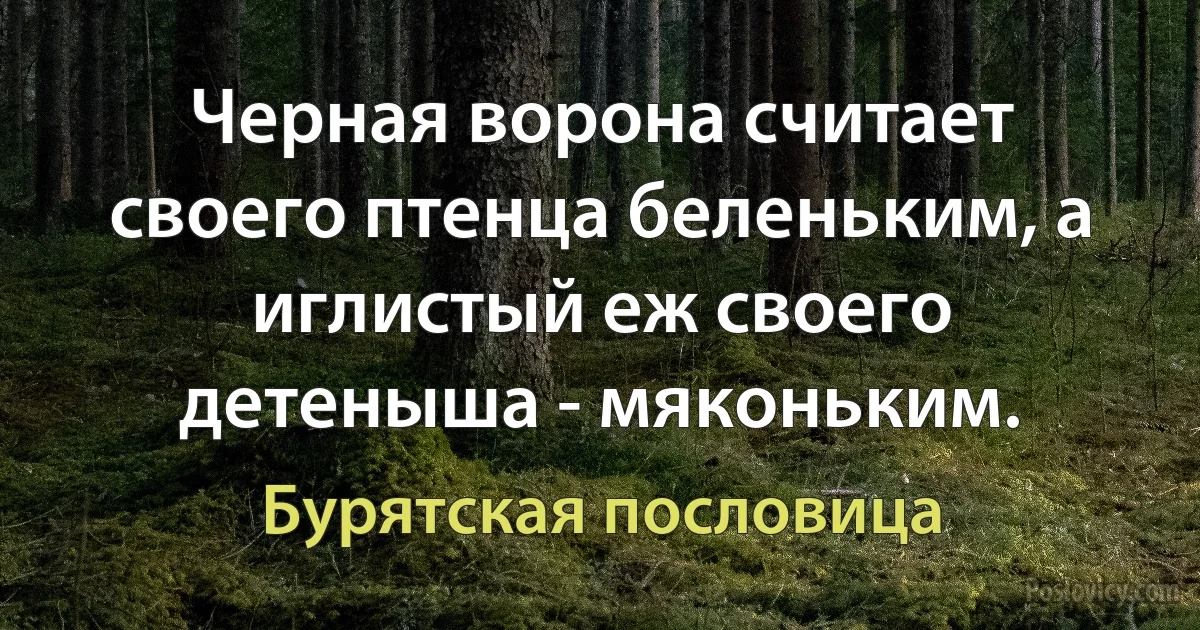 Черная ворона считает своего птенца беленьким, а иглистый еж своего детеныша - мяконьким. (Бурятская пословица)