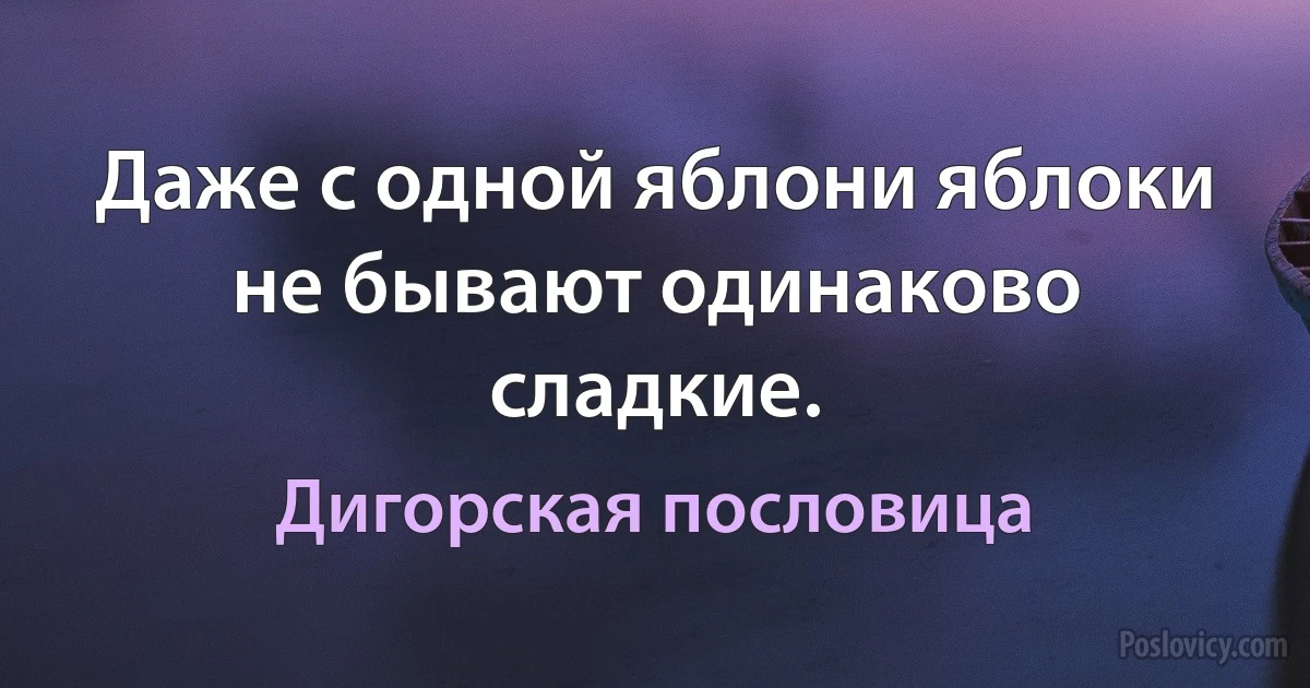 Даже с одной яблони яблоки не бывают одинаково сладкие. (Дигорская пословица)