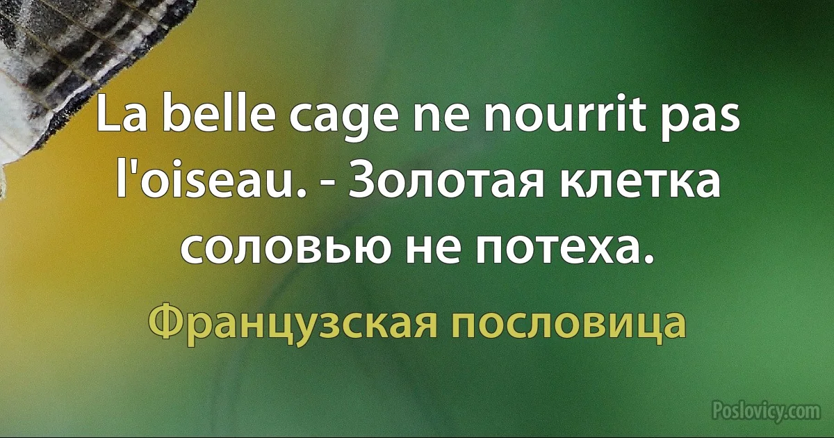 La belle cage ne nourrit pas l'oiseau. - Золотая клетка соловью не потеха. (Французская пословица)