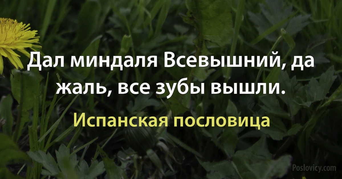 Дал миндаля Всевышний, да жаль, все зубы вышли. (Испанская пословица)