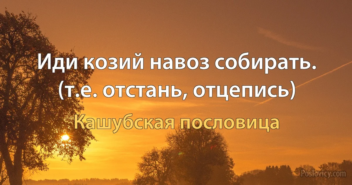 Иди козий навоз собирать. (т.е. отстань, отцепись) (Кашубская пословица)